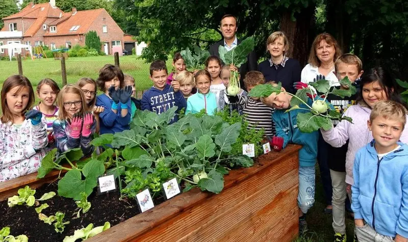 Hochbeet